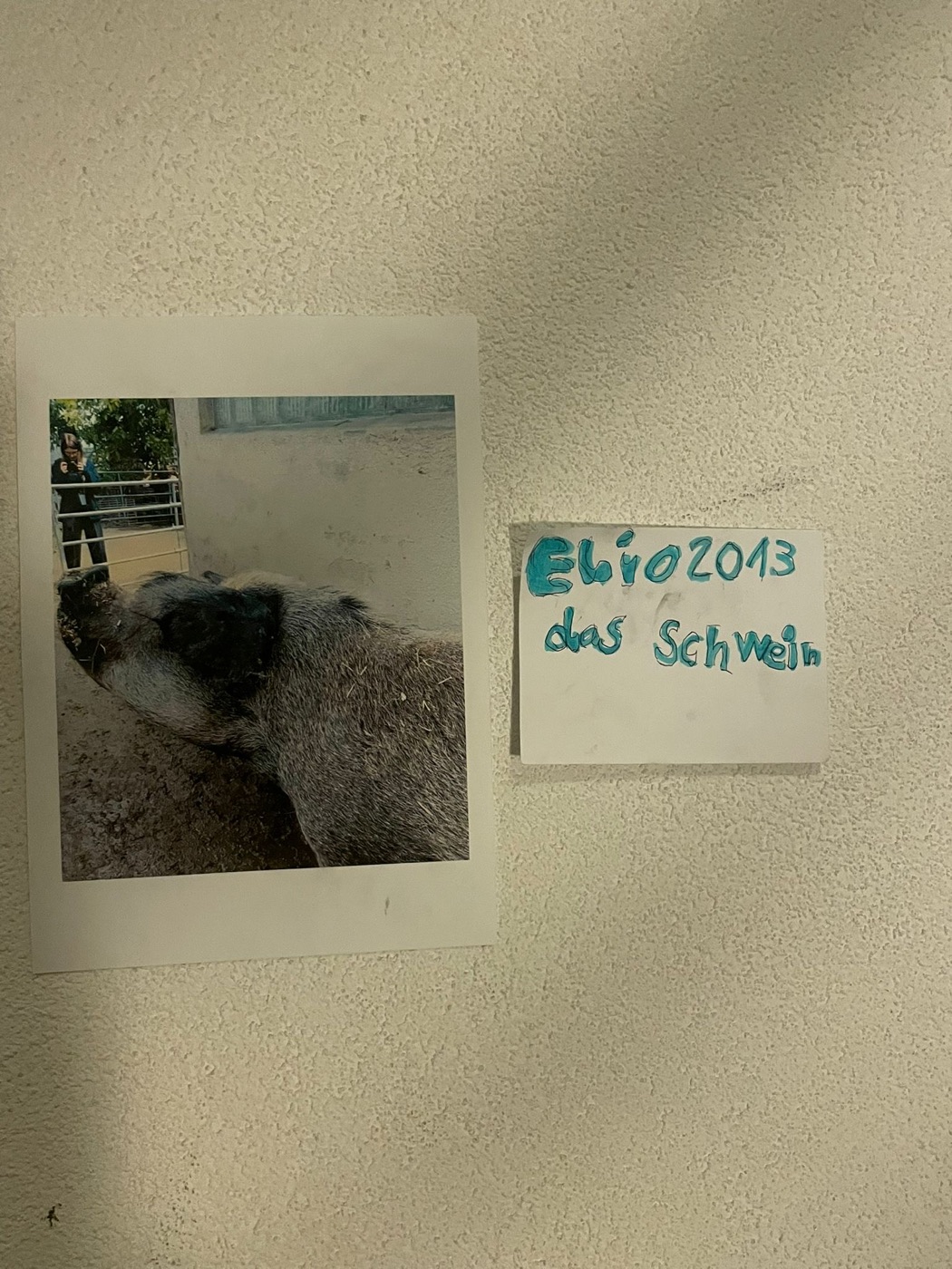 Foto an der Wand mit einem Kärtchen in blauer Schrift